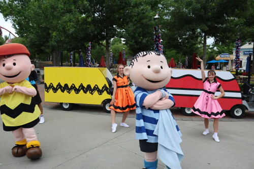 3J1A9513.jpg