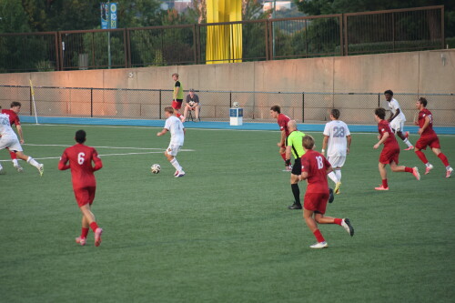 3J1A2620.jpg