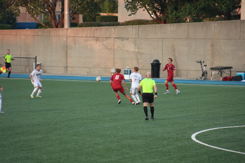 3J1A2637.jpg