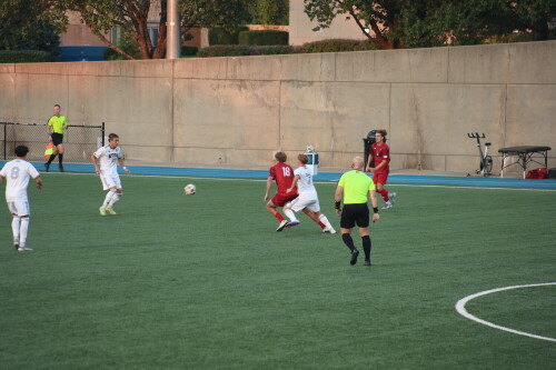 3J1A2638.jpg